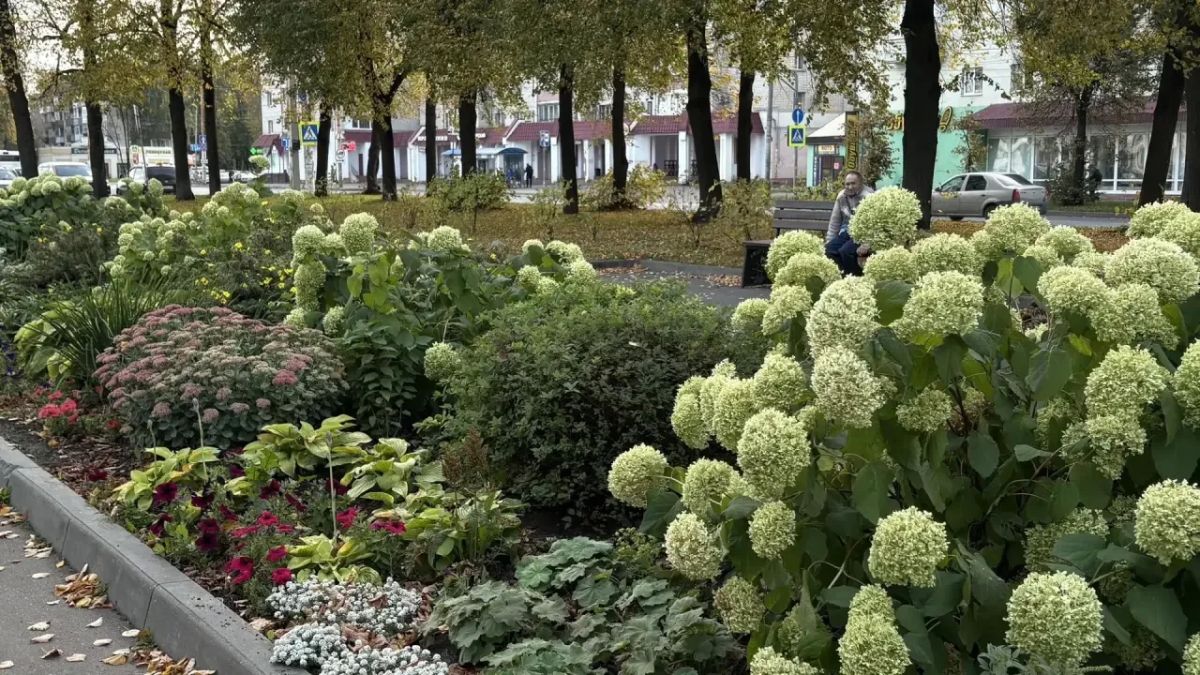 Сергей Ситников вручил благодарность начальнику участка по цветоводству предприятия «Чистый город» Ларисе Воробьёвой Сергей Ситников вручил благодарность начальнику участка по цветоводству предприятия «Чистый город» Ларисе Воробьёвой