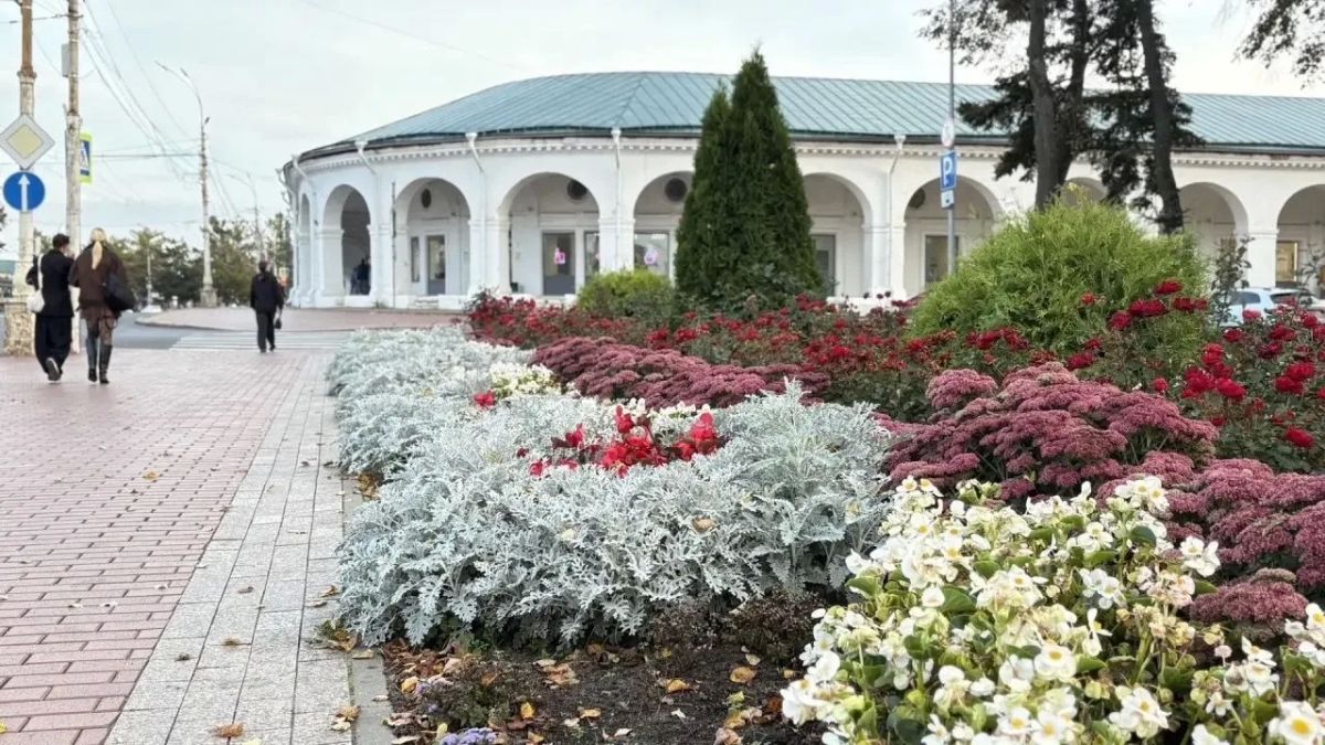 Главная «цветочница» Костромы Лариса Воробьева получила награду от губернатора Главная «цветочница» Костромы Лариса Воробьева получила награду от губернатора