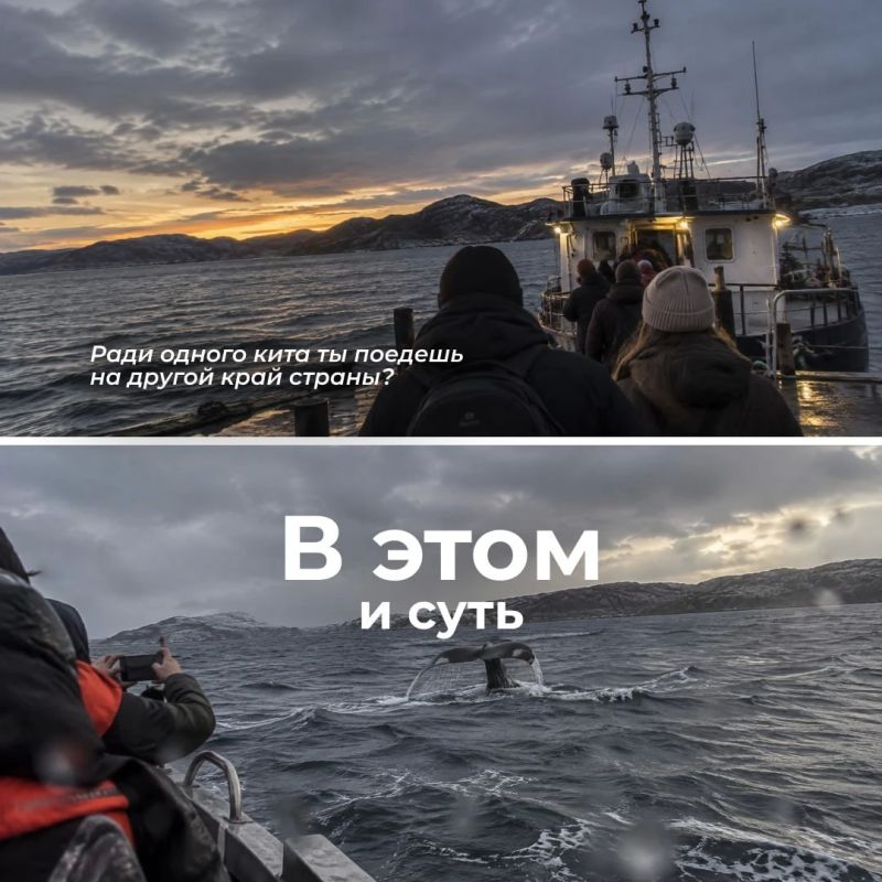 Сегодня отмечаем День туризма! Сегодня отмечаем День туризма!