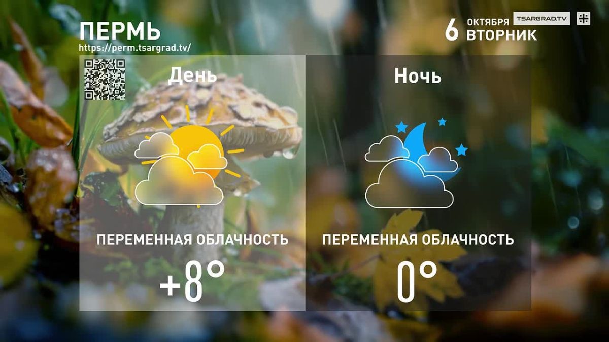 Не жалею, не зову, не плачу