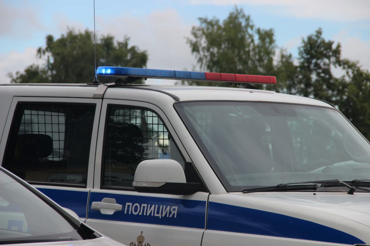 В Костроме задержали подозреваемую в краже собаки