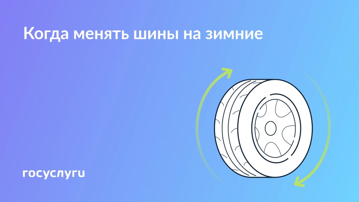 Сроки замены резины на авто и мотоциклах по сезону