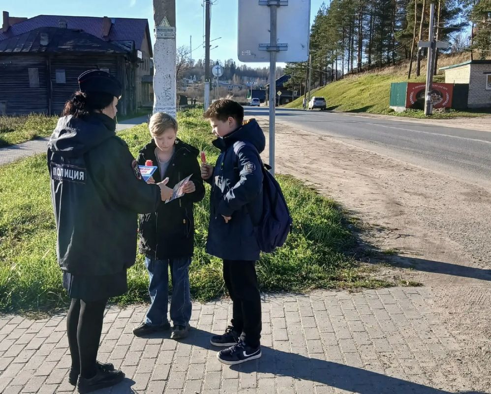 В Костромской области проходят профилактические мероприятия по безопасности пешеходов В Костромской области проходят профилактические мероприятия по безопасности пешеходов