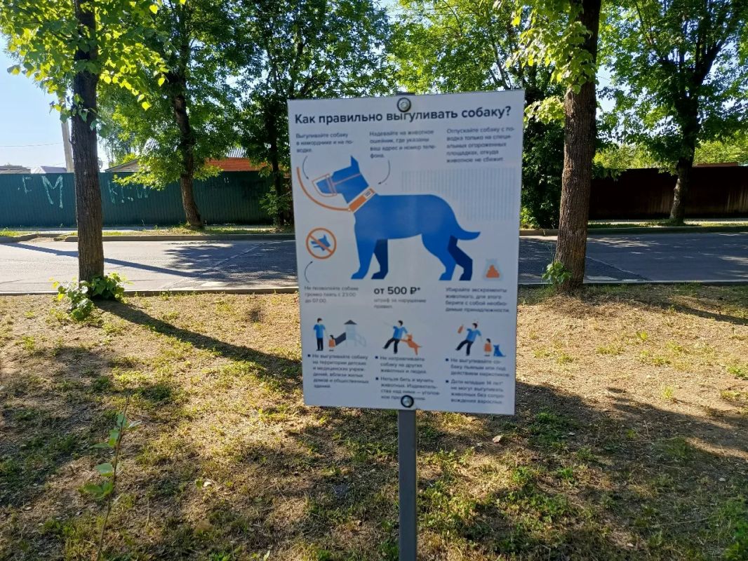 В Костроме во время борьбы с какашечно-намордниковым беспределом оштрафовали 70 собачников