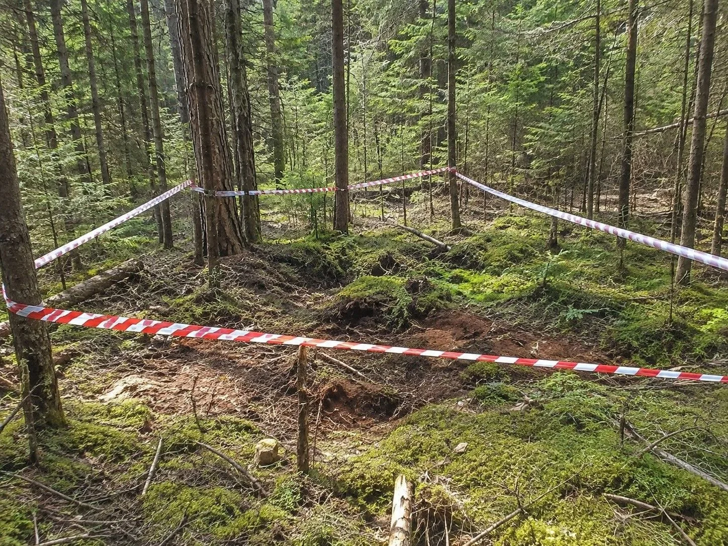 Обломки БПЛА обнаружены около поселка Красная Поляна Островского района